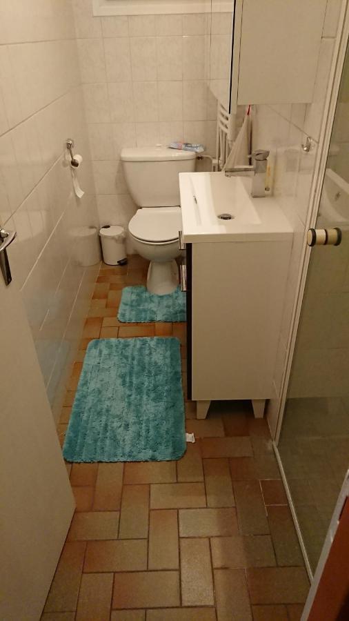 Appartement Oldani à Antran Extérieur photo